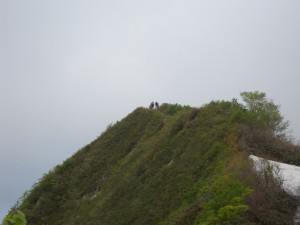 DSCN1548