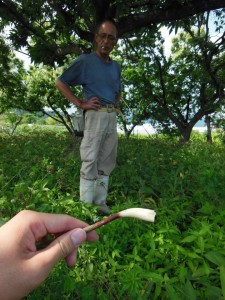 行者にんにく