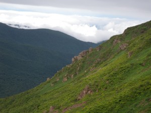 DSCN2022
