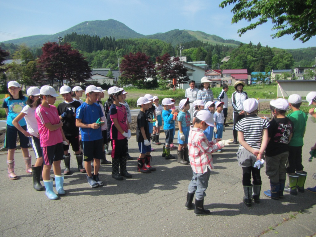 赤倉小学校花壇整備